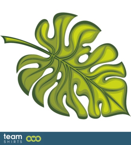 philodendron leaf