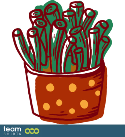 Crassula obtusa