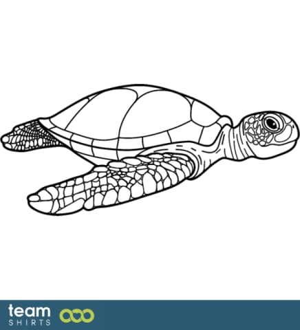 Turtle