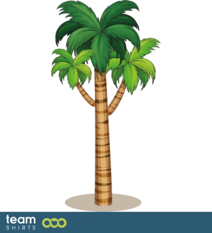 palmtree