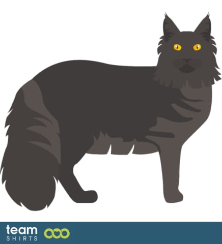 vektorpopulation 10333441MaineCoonpng0690