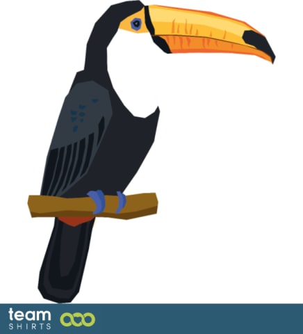 toucan