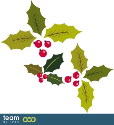 winterrose 2 vectorstock 6438519