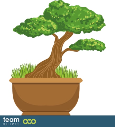 bonsai