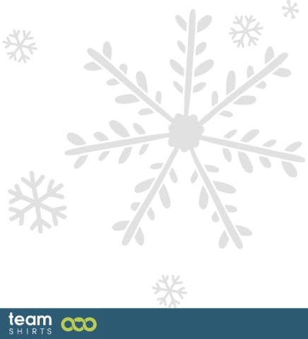 Schneeflocken vectorstock 6721244