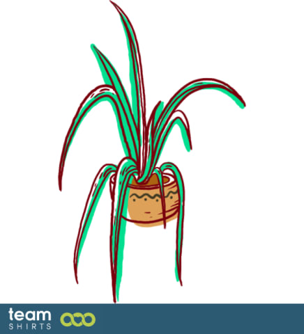 Chlorophytum comosum