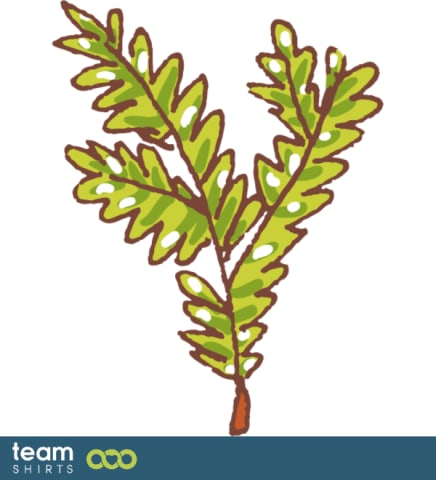 branch