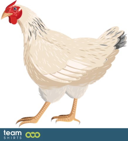 Realistic chicken