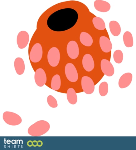 blomst