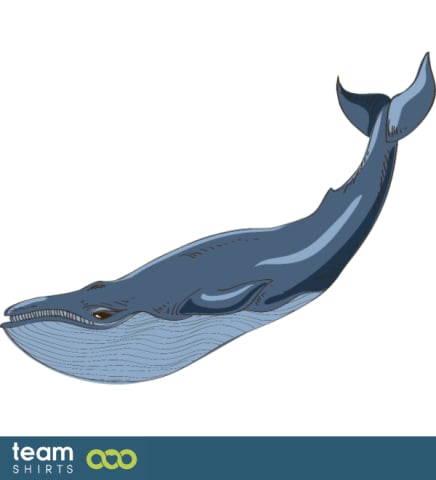 Blue Whale