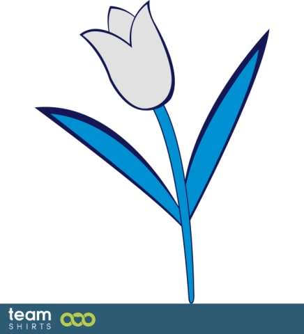 Tulpe