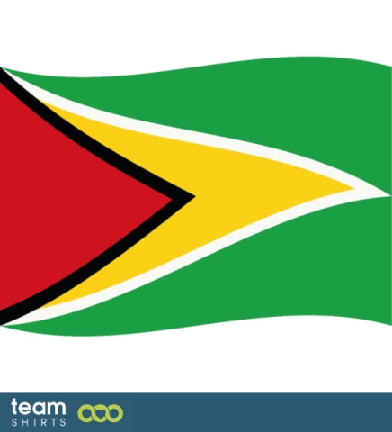 Flag Guyana