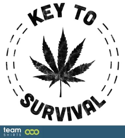 ansc keytosurvival bl