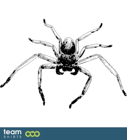 Araign? e