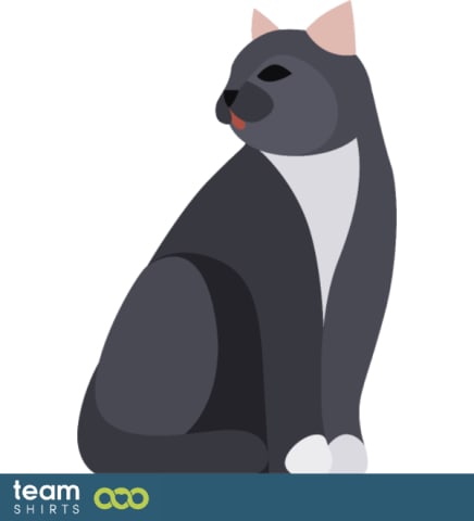 Niedliche graue Katze