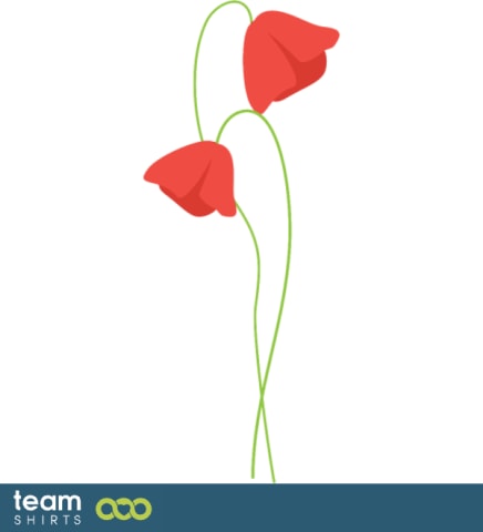 Poppy blomst