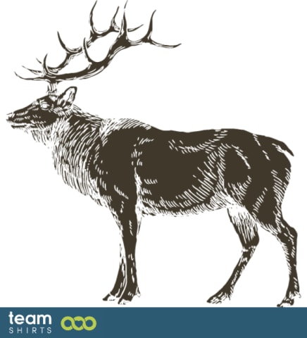 deer