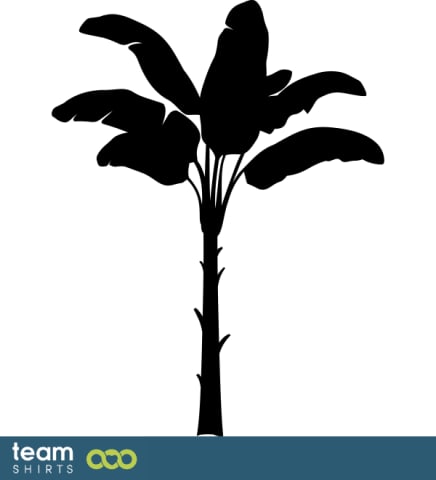 palmtree
