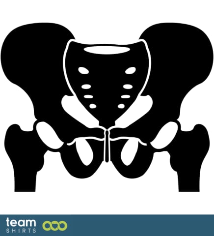 PELVIS BONES