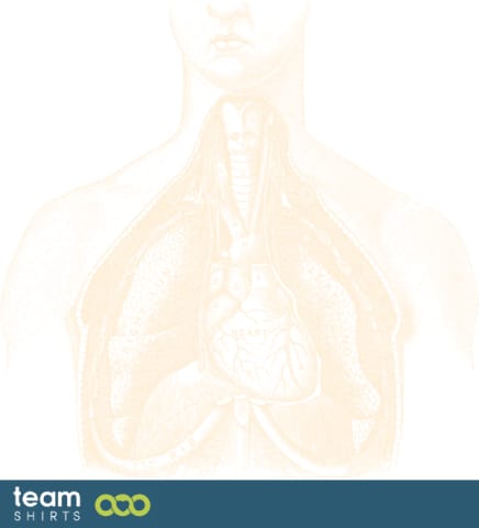Menselijke torso anatomische illustratie