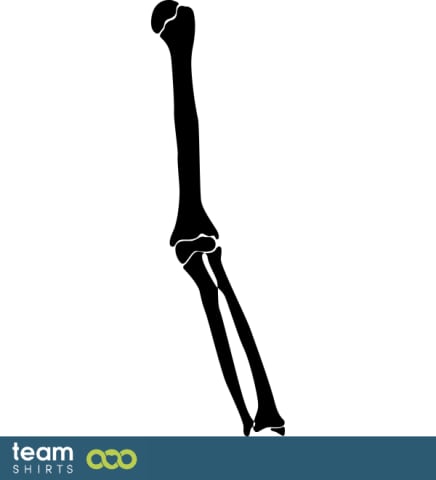 arm bone