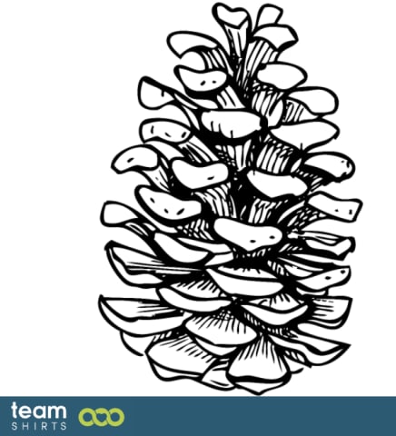 Pinecone