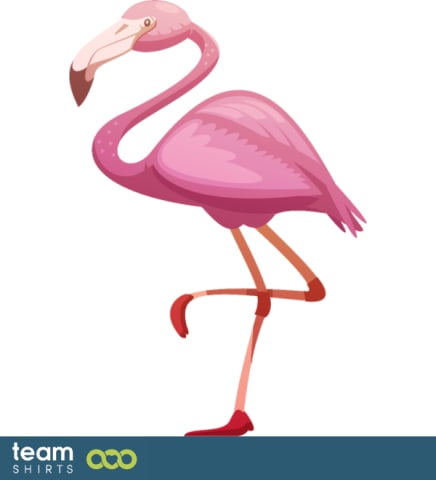 flamingo