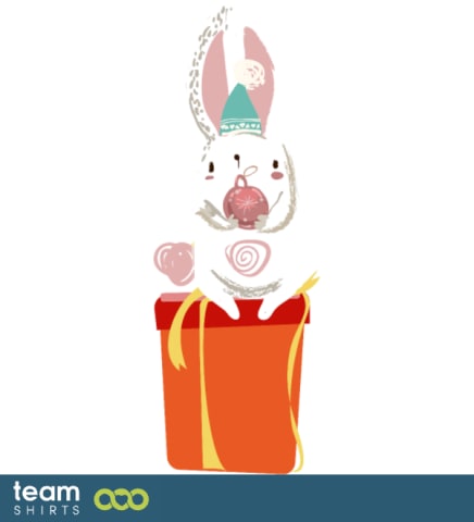 06 lapin cadeau de Noël Stock .png antivectorielle 10852042