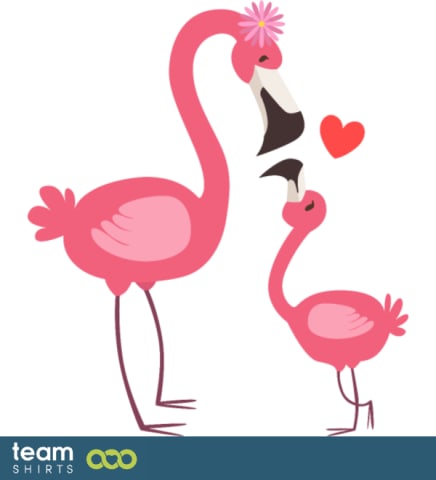 Flamingo familie