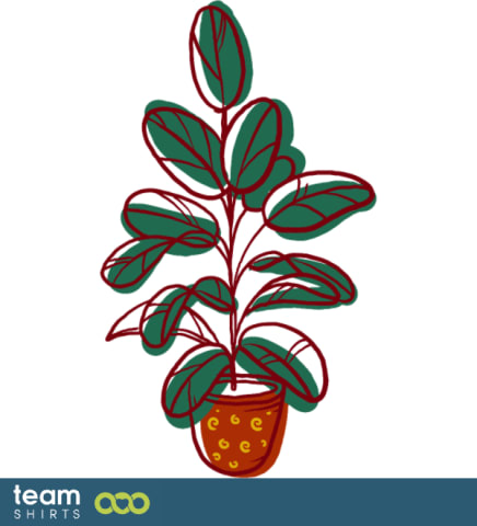 Ficus