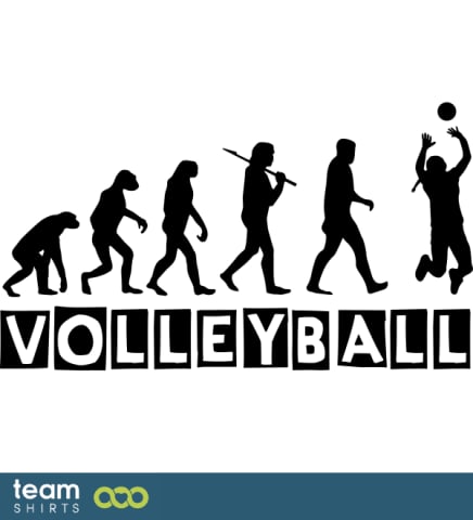 Volleyball