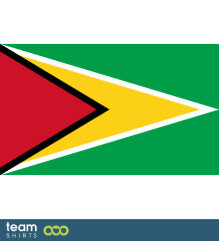 Flag Guyana