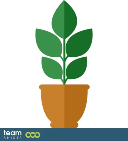 Indoor plant