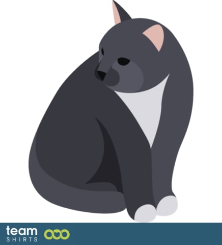 Grå katt