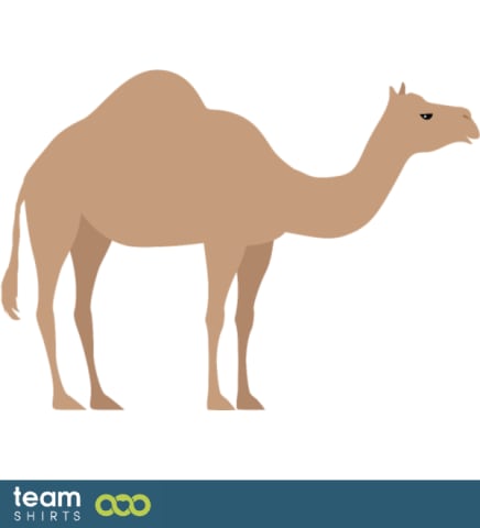Arabian camel