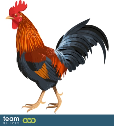 Rooster