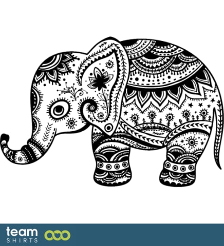 bébé éléphant