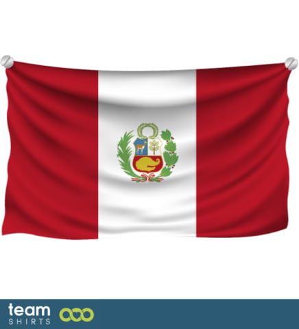 flagga paraguay