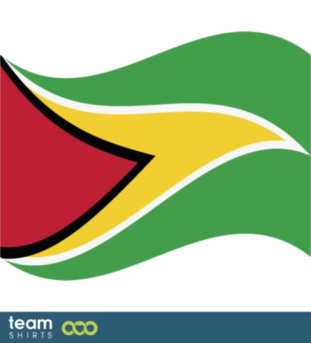 Flag Guyana