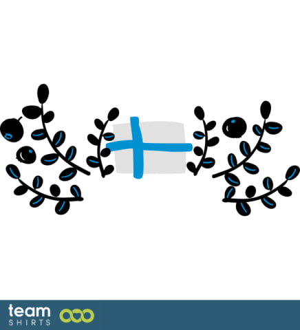 flag finland