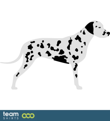 Animals vectorstock 9478018 all model series: show dog 001 hunting dog