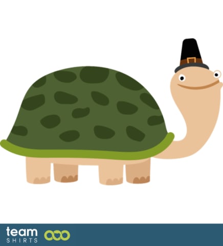 TURTLE WITH HAT