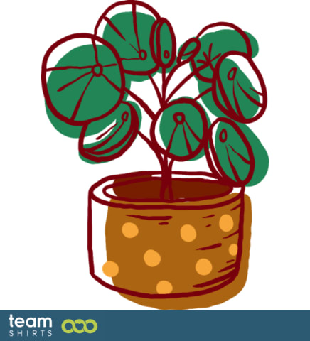 Pilea