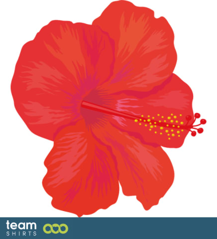 Hawaiian lei