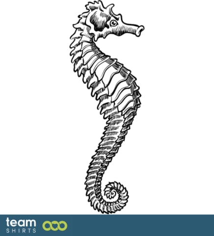 Sea Horse