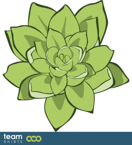 succulent