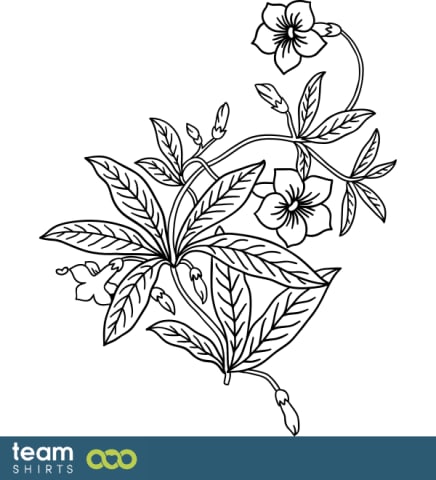 grass plant