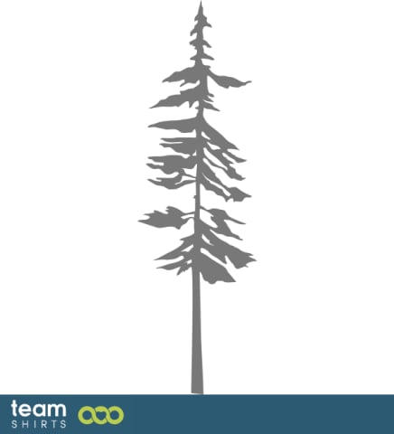 pine tree