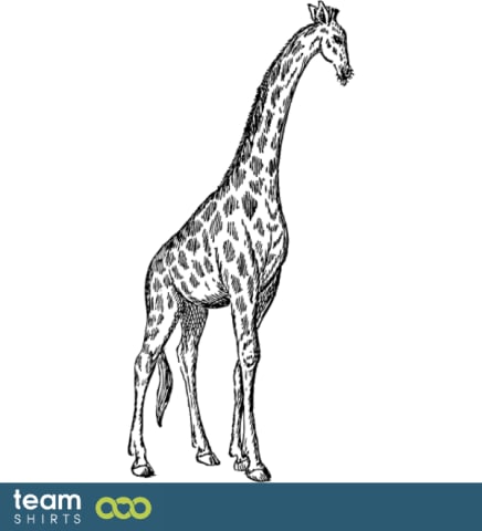giraffe