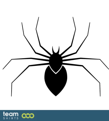 Spinne